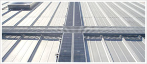 Roofwalk